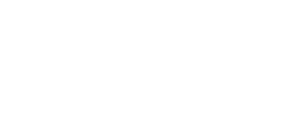 North Brooklyn Parks Alliance